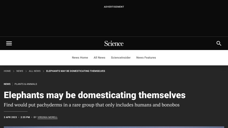 Screenshot of science.org: Elephants may be domesticating themselves