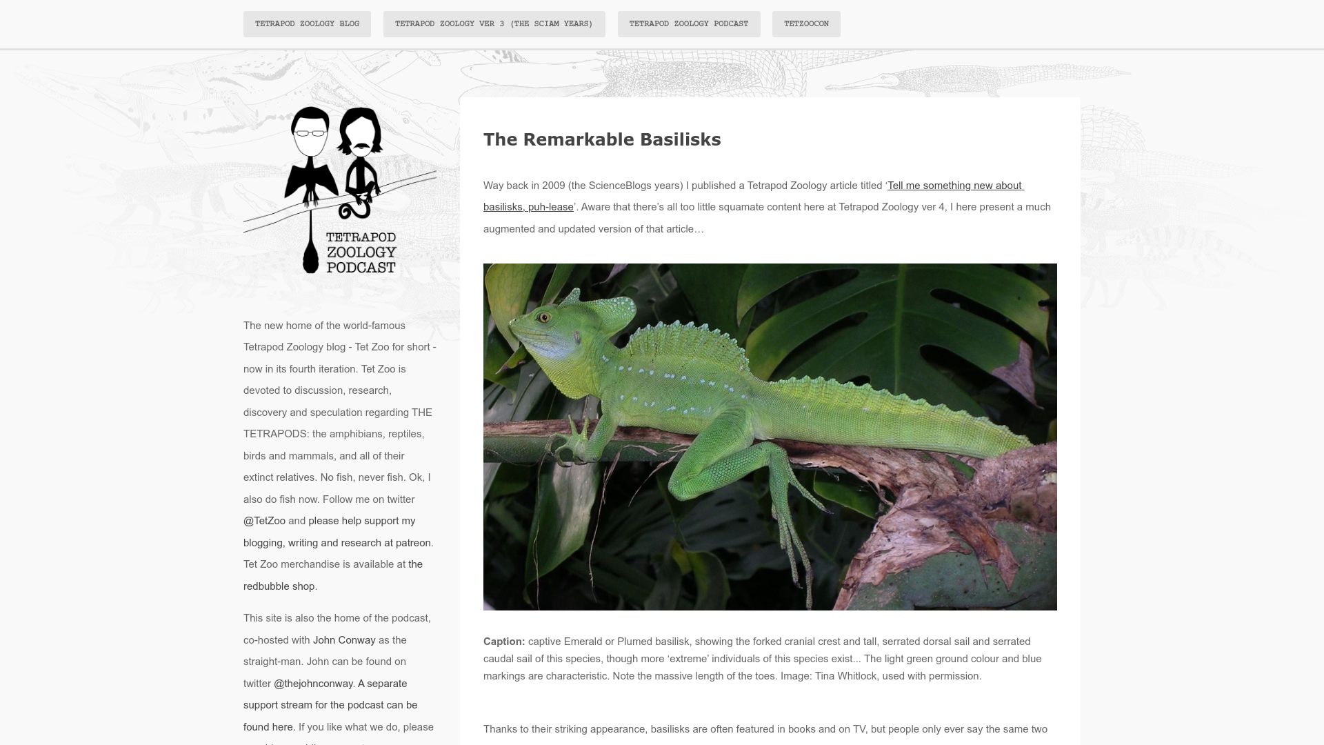 Screenshot of tetzoo.com: The Remarkable Basilisks