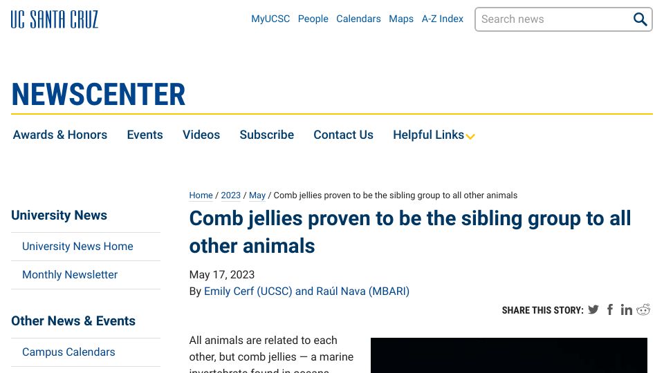 Screenshot of news.ucsc.edu: Comb jellies proven to be the sibling group to all other animals