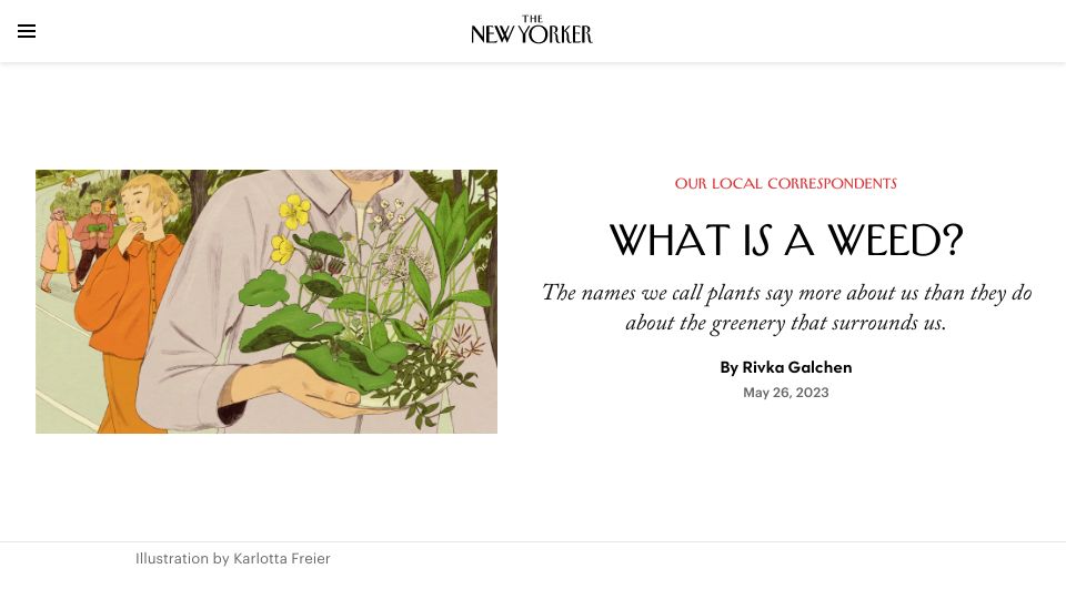 Screenshot of newyorker.com: What Is a Weed?