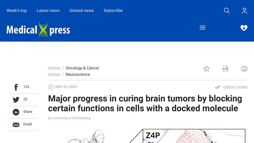 Screenshot of medicalxpress.com: Curing brain tumors: blocking functions in cells with a docked molecule