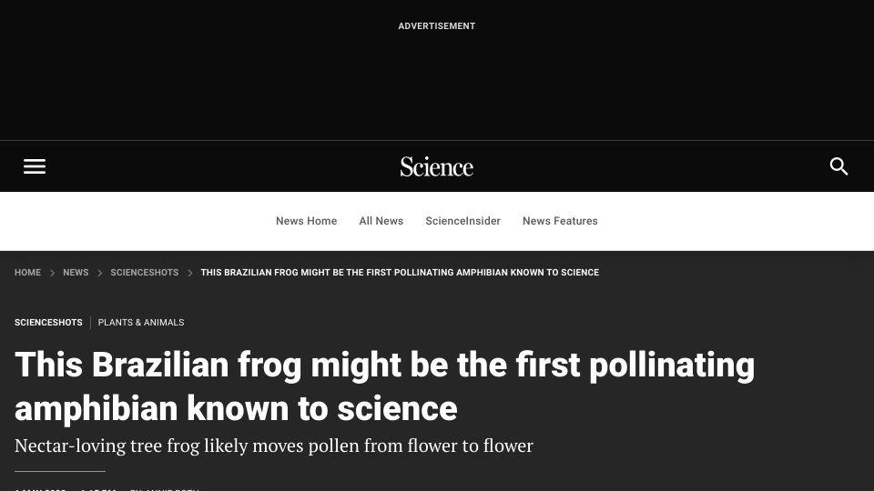 Screenshot of science.org: Brazilian frog might be the first pollinating amphibian known to science