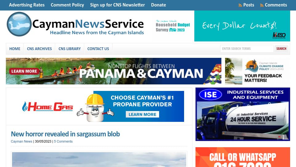 Screenshot of caymannewsservice.com: New horror revealed in sargassum blob