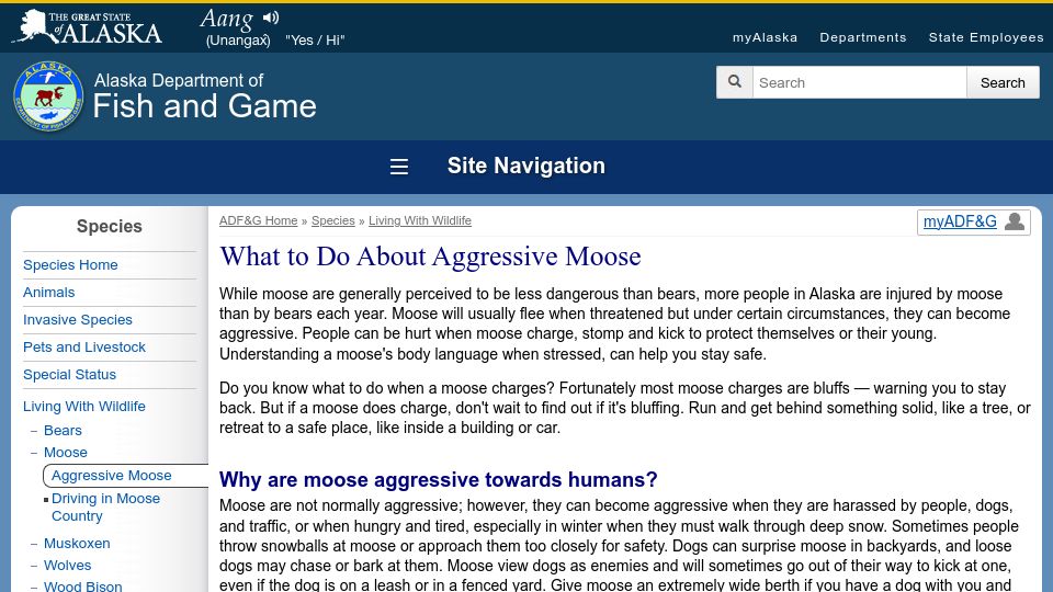 Screenshot of adfg.alaska.gov: What to Do About Aggressive Moose