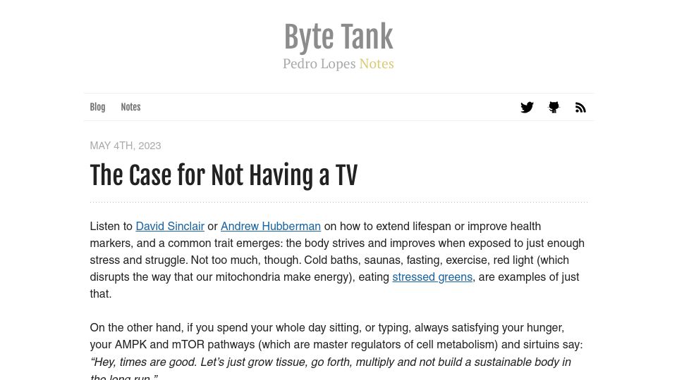 Screenshot of lopespm.com: The Case for Not Having a TV