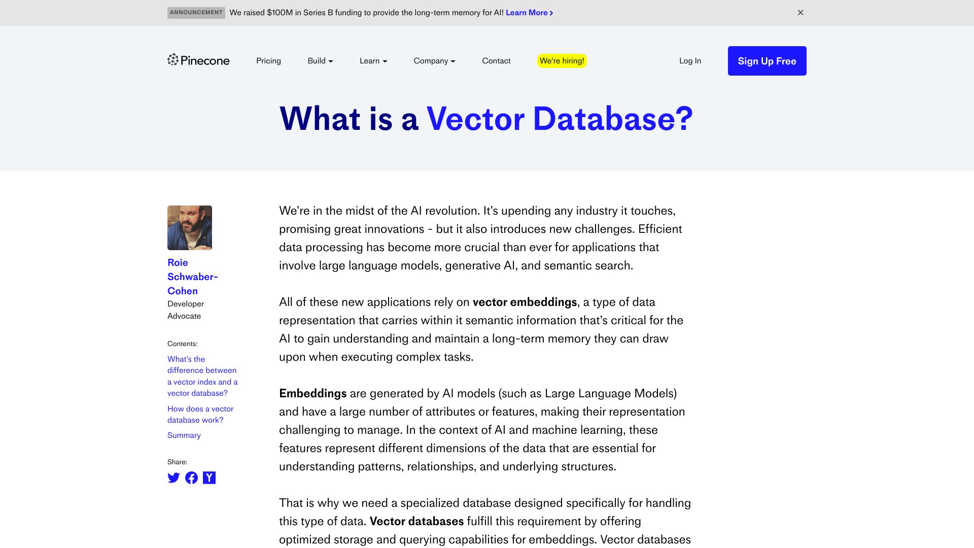 Screenshot of pinecone.io: What is a Vector Database? (2021)