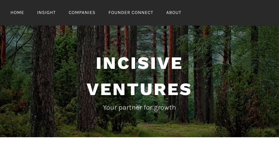 Screenshot of incisive.vc: Fundraising Stages