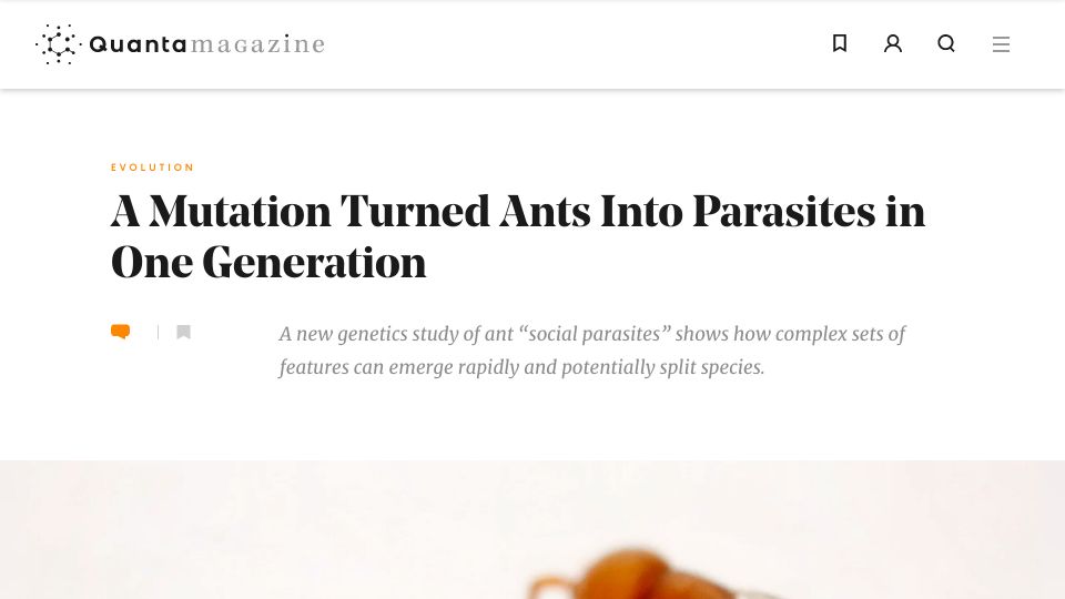 Screenshot of quantamagazine.org: A mutation turned ants into parasites in one generation