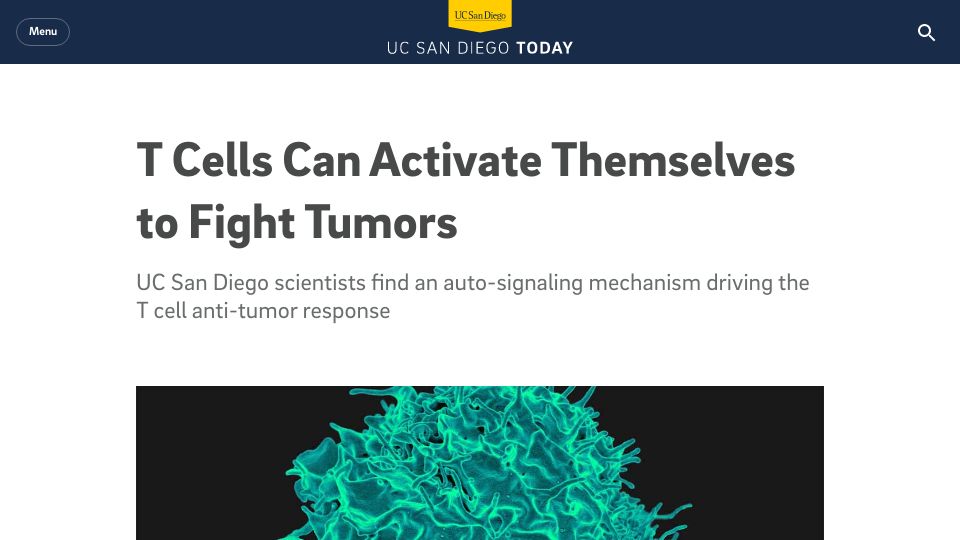 Screenshot of today.ucsd.edu: T cells can activate themselves to fight tumors