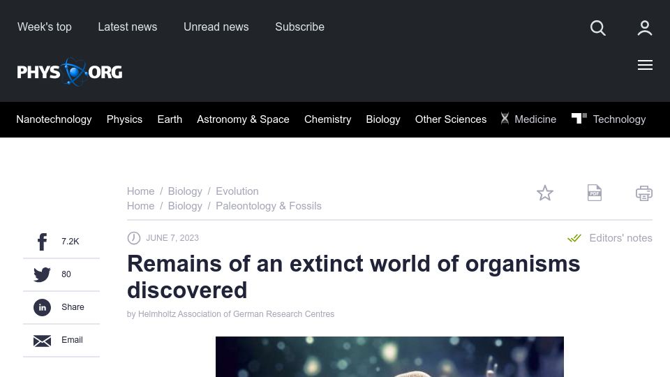 Screenshot of phys.org: Remains of an extinct world of organisms discovered