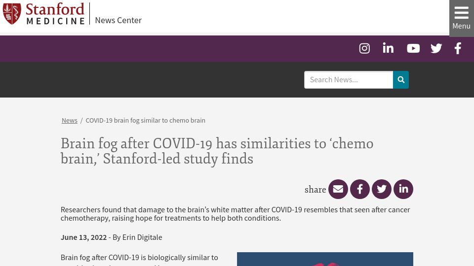 Screenshot of med.stanford.edu: Brain fog after Covid-19 has similarities to ‘chemo brain’ in humans and mice