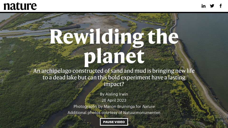 Screenshot of nature.com: Rewilding the planet: An archipelago constructed of sand is bringing new life