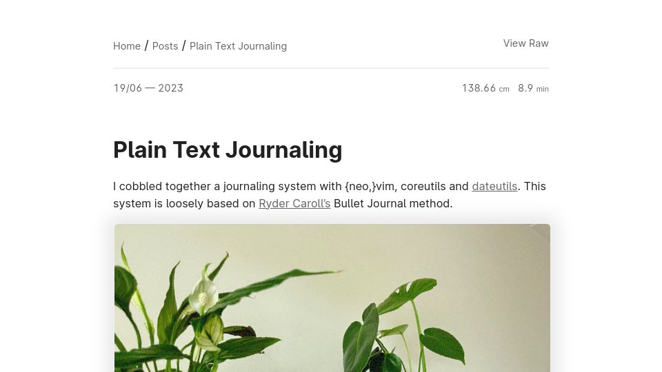 Screenshot of peppe.rs: Plain text journaling in Vim