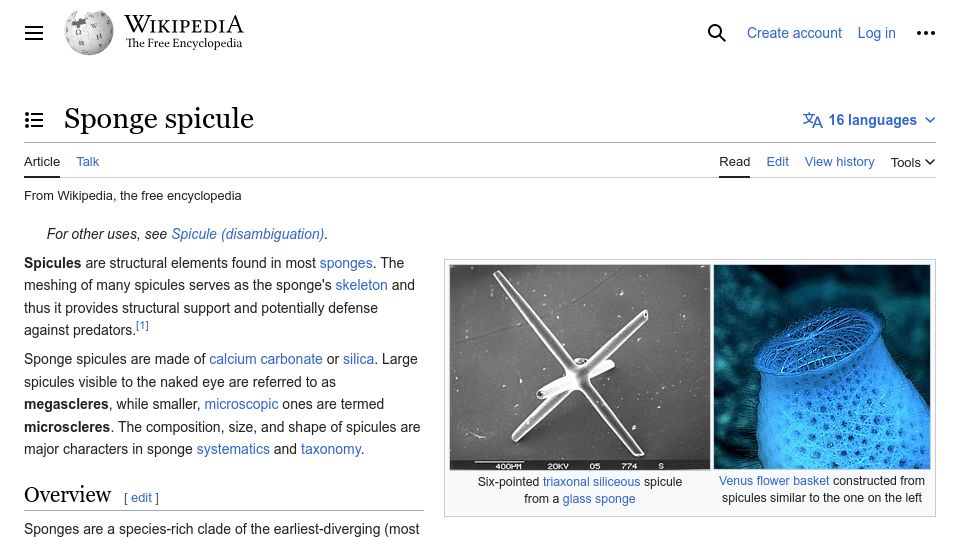 Screenshot of en.wikipedia.org: Sponge spicule