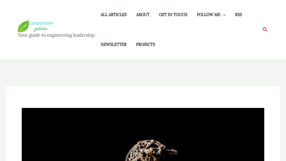 Screenshot of leadership.garden: Demystifying burnout – A deep dive into its symptoms and remedies