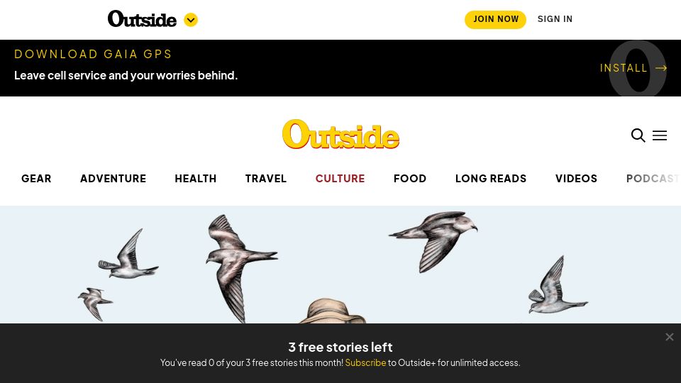 Screenshot of outsideonline.com: A birder's quest to see 10k species