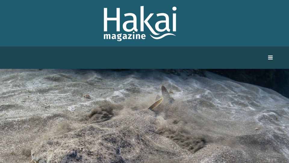 Screenshot of hakaimagazine.com: Huh, our fake beach is good for sharks