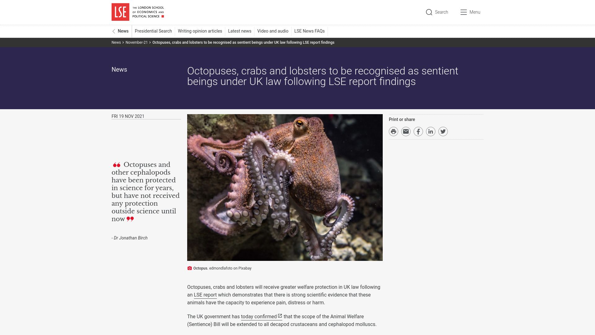 Screenshot of lse.ac.uk: Octopuses, crabs and lobsters recognised as sentient beings under UK law (2021)