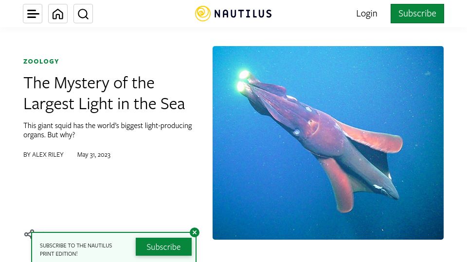 Screenshot of nautil.us: A species of deep-sea squid has the world’s biggest light-producing organs