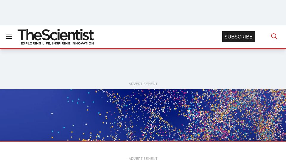 Screenshot of the-scientist.com: Nanoplastic Ingestion Causes Neurological Deficits