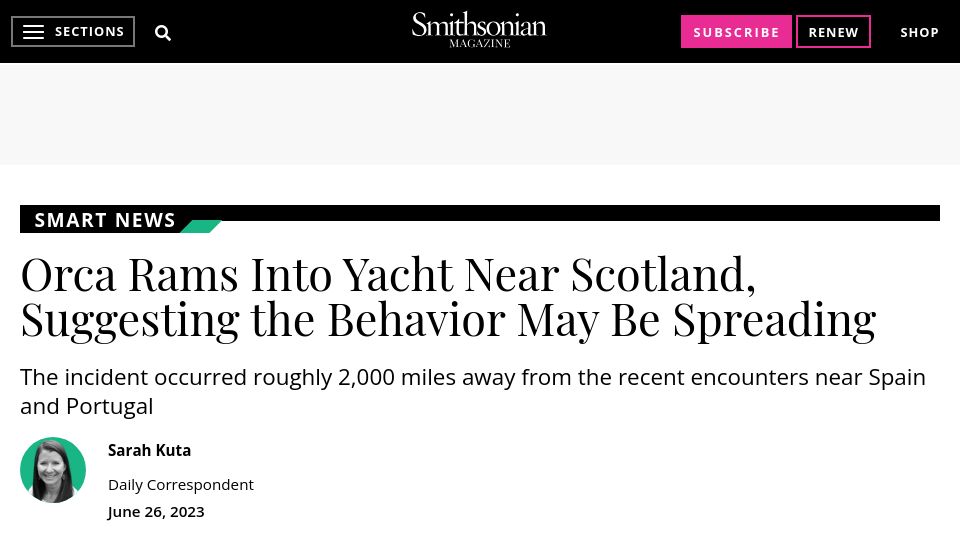 Screenshot of smithsonianmag.com: Orca rams into yacht near Scotland, suggesting the behavior may be spreading
