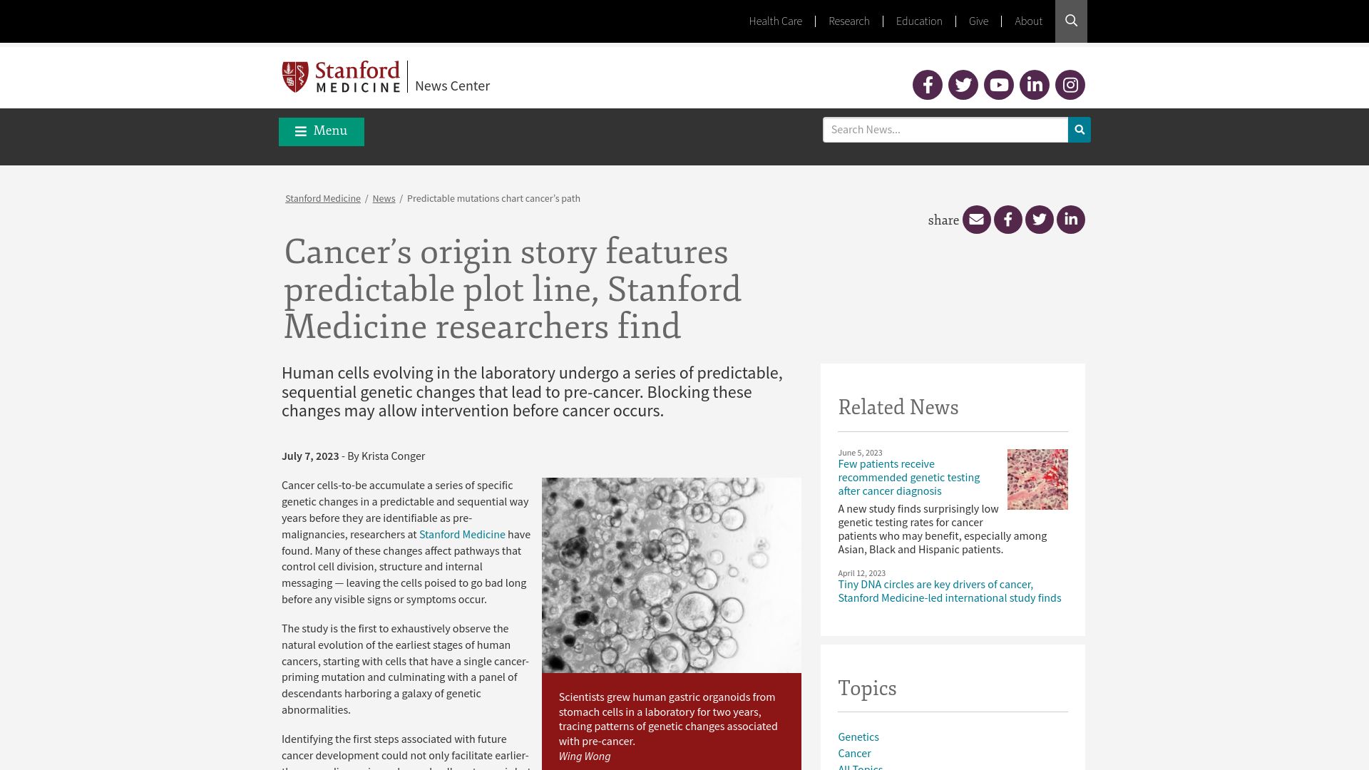 Screenshot of med.stanford.edu: Cancer’s origin story features predictable plot line, researchers find