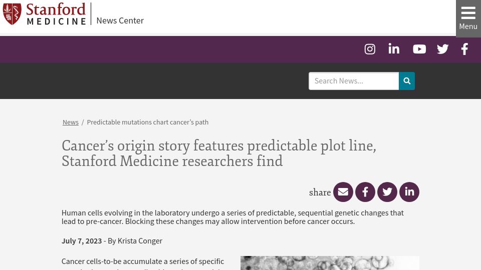 Screenshot of med.stanford.edu: Cancer’s origin story features predictable plot line, researchers find