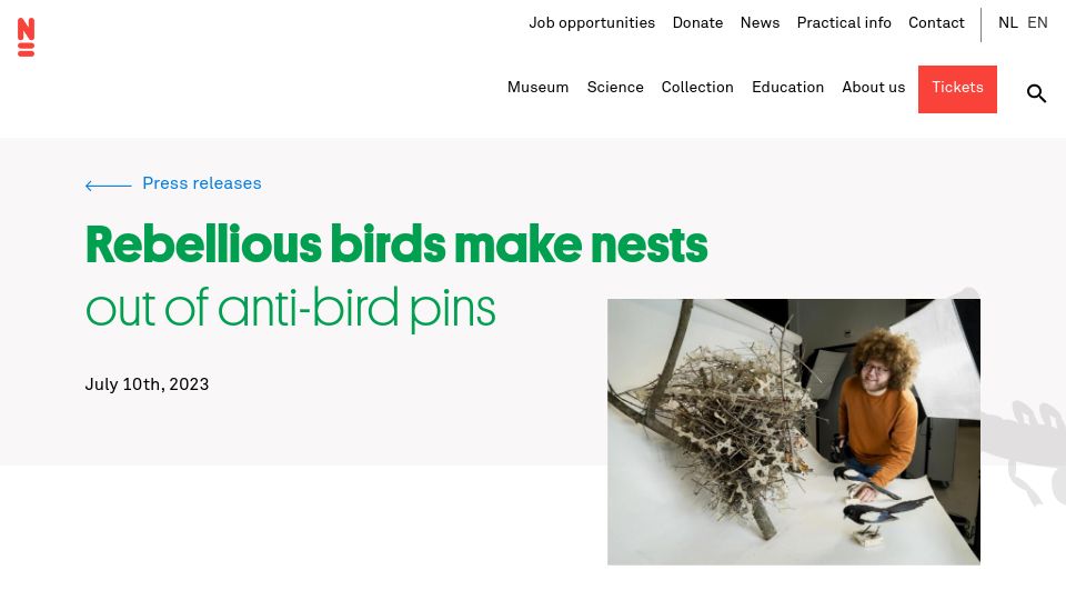 Screenshot of naturalis.nl: Birds make nests out of anti-bird pins