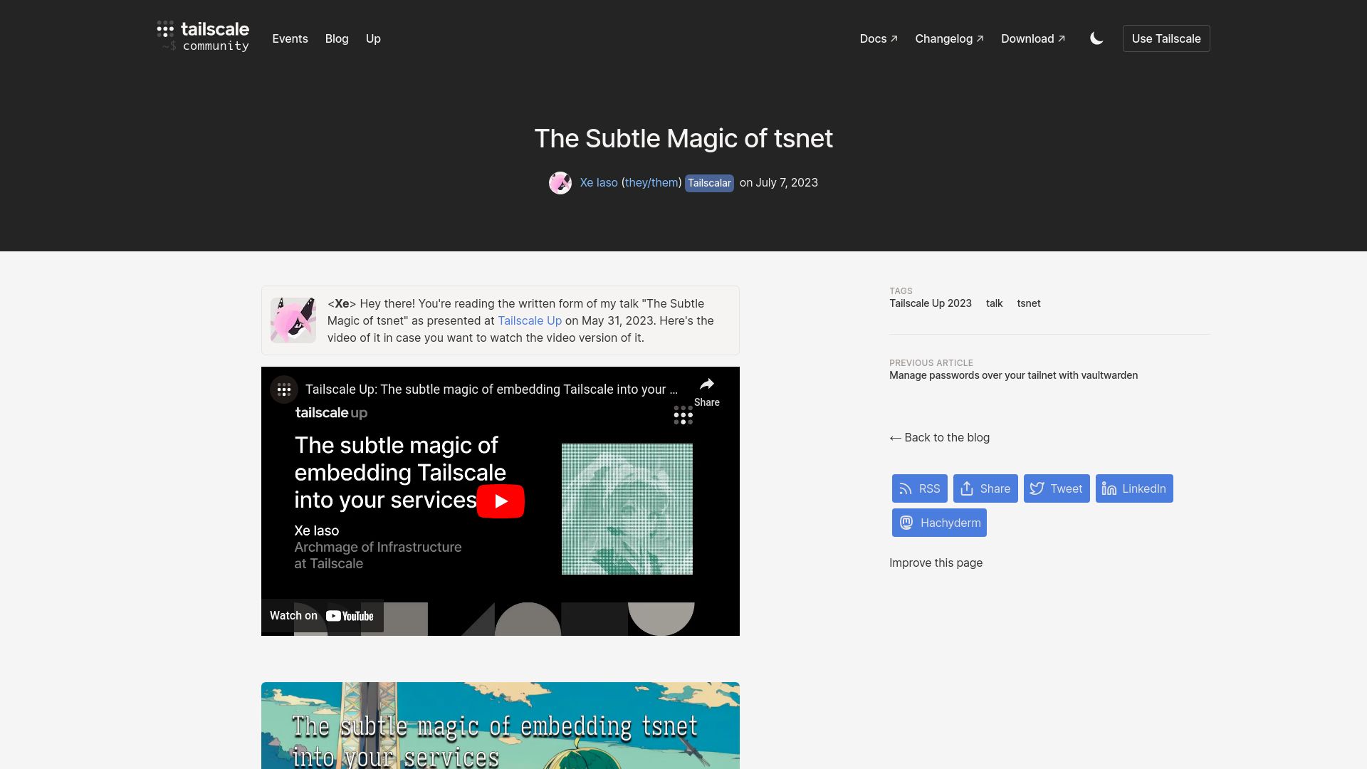 Screenshot of tailscale.dev: The subtle magic of tsnet