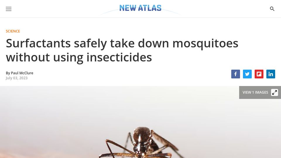 Screenshot of newatlas.com: Surfactants safely take down mosquitoes without using insecticides