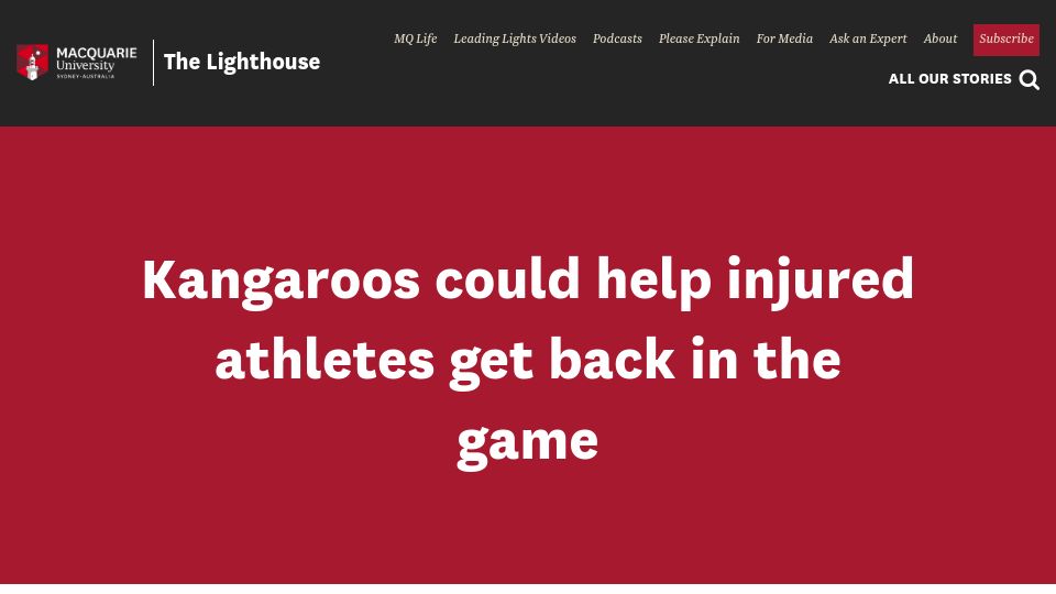 Screenshot of lighthouse.mq.edu.au: Kangaroo tendons could rebuild human knees better, stronger