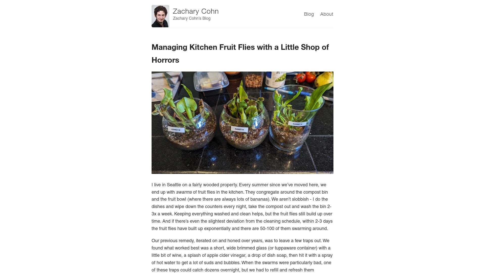 Screenshot of blog.zaccohn.com: Managing Kitchen Fruit Flies with a Little Shop of Horrors