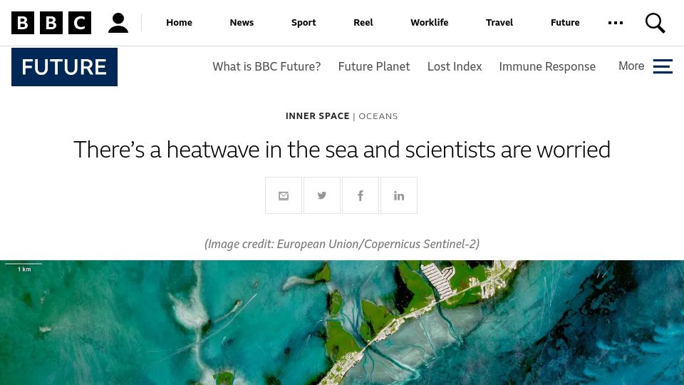 Screenshot of bbc.com: There’s a heatwave in the sea and scientists are worried