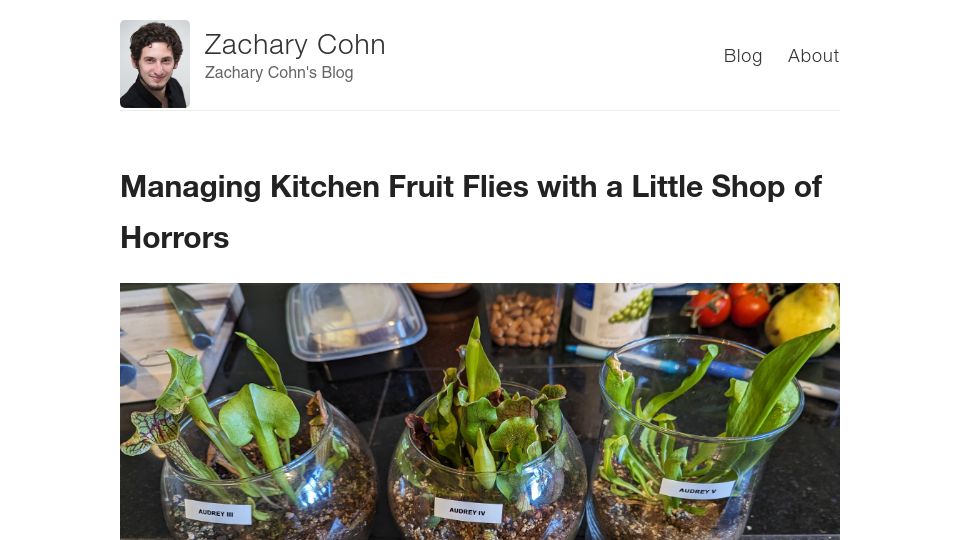 Screenshot of blog.zaccohn.com: Managing Kitchen Fruit Flies with a Little Shop of Horrors
