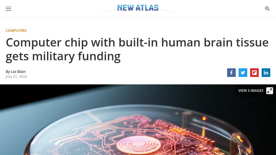 Screenshot of newatlas.com: Computer chip with built-in human brain tissue gets military funding