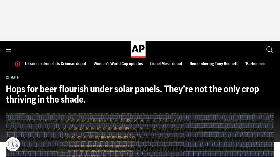 Screenshot of apnews.com: Hops for beer flourish under solar panels