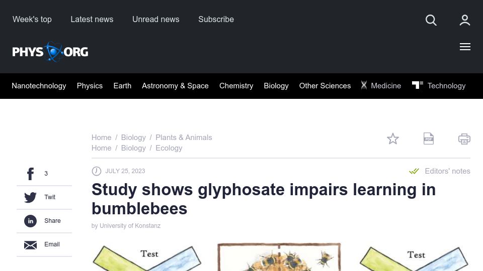 Screenshot of phys.org: Study shows glyphosate impairs learning in bumblebees