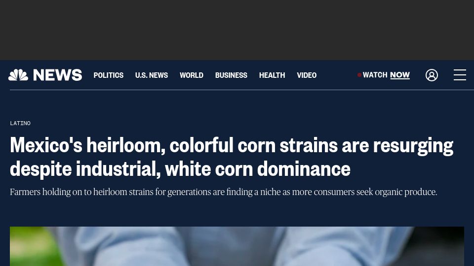 Screenshot of nbcnews.com: Mexico's heirloom corn strains are resurging amid more demand