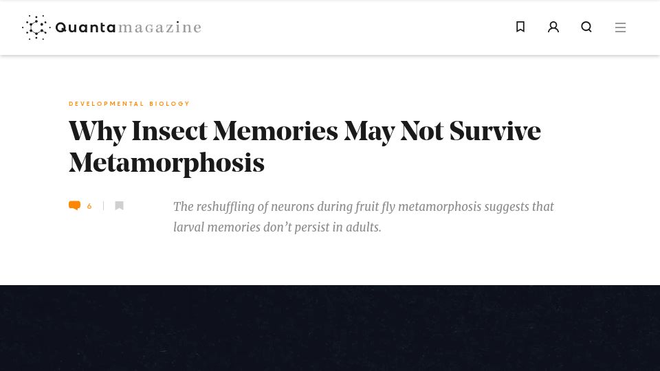 Screenshot of quantamagazine.org: Insect memories may not survive metamorphosis