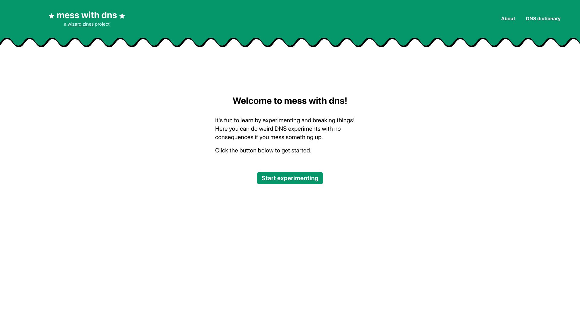 Screenshot of messwithdns.net: Mess with DNS