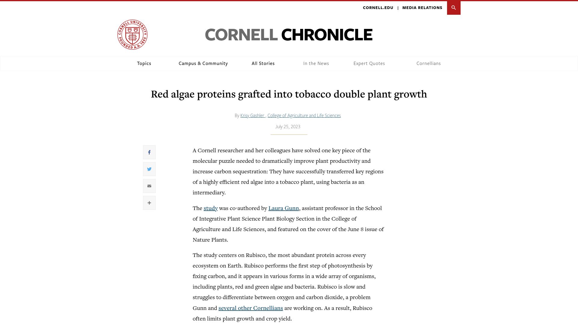 Screenshot of news.cornell.edu: Red algae proteins grafted into tobacco double plant growth
