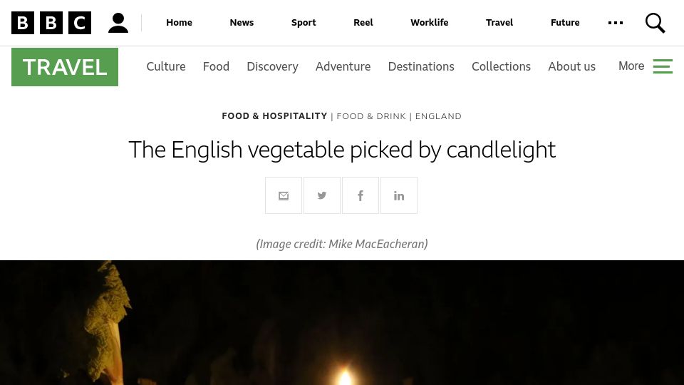 Screenshot of bbc.com: Forced rhubarb, a vegetable deprived of sunlight, is having a renaissance (2019)