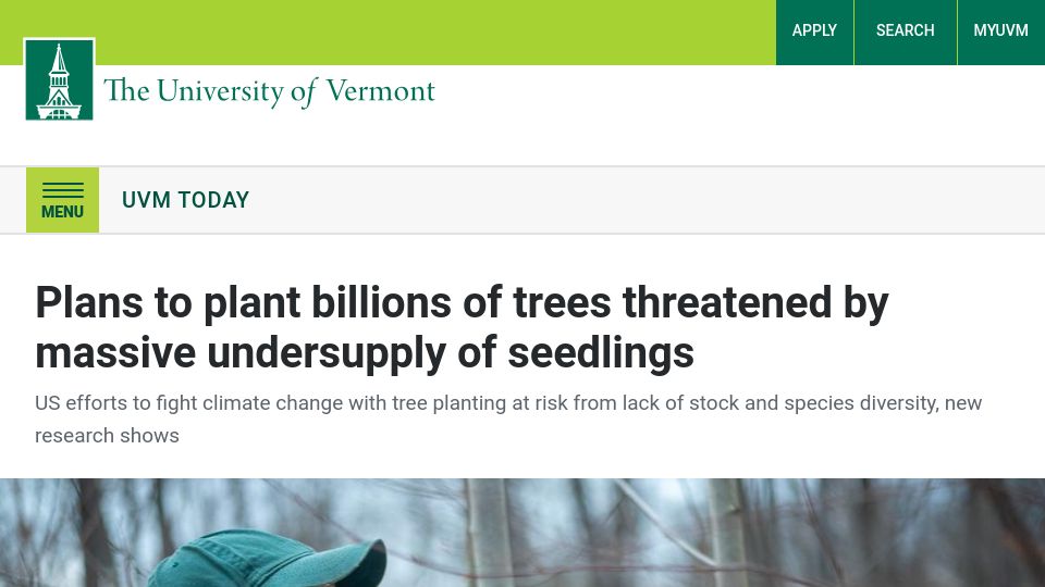 Screenshot of uvm.edu: Plans to plant billions of trees threatened by undersupply of seedlings