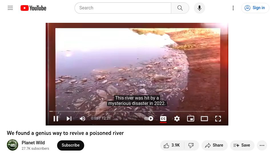 Screenshot of youtube.com: We found a genius way to revive a poisoned river [video]