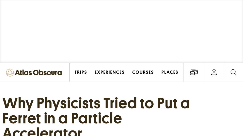 Screenshot of atlasobscura.com: Why Physicists Tried to Put a Ferret in a Particle Accelerator