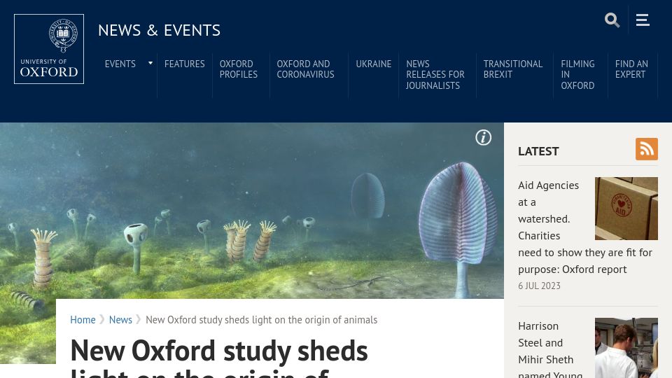 Screenshot of ox.ac.uk: New study sheds light on the origin of animals