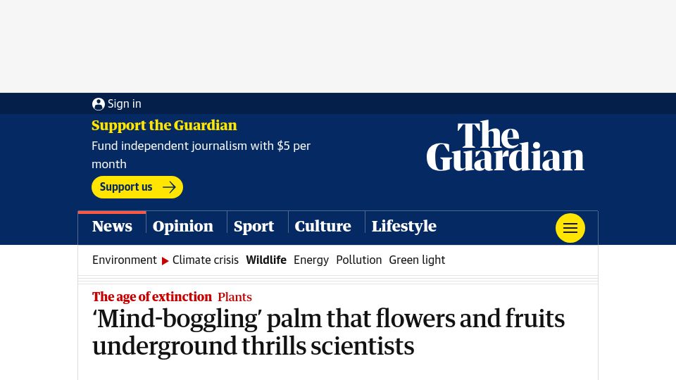 Screenshot of theguardian.com: ‘Mind-boggling’ palm that flowers and fruits underground thrills scientists