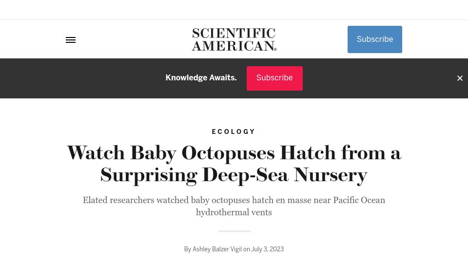 Screenshot of scientificamerican.com: Watch Baby Octopuses Hatch from a Surprising Deep-Sea Nursery