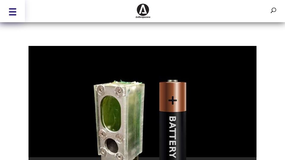 Screenshot of anthropocenemagazine.org: Algae powers computer for a year using only light and water