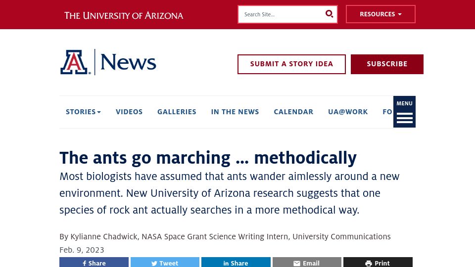 Screenshot of news.arizona.edu: The ants go marching methodically